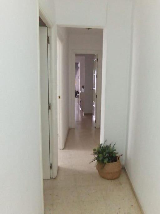 Apartamento Plaza Toros セビリア エクステリア 写真